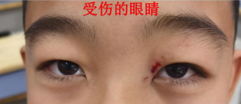 202510111917411675.png 1.png